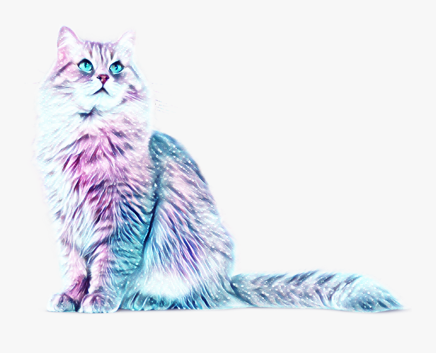 #pastel #purple #cat #blue #galaxy #kitten #aesthetic - Blue And Purple Kitten, Transparent Clipart