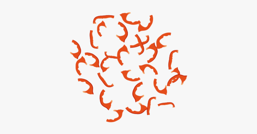 Calligraphy, Transparent Clipart