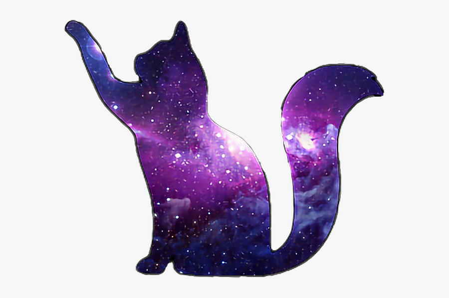 #purple #cat
#scpurple #galaxy #cat #galaxycat #blue - Kitty In Galaxy, Transparent Clipart