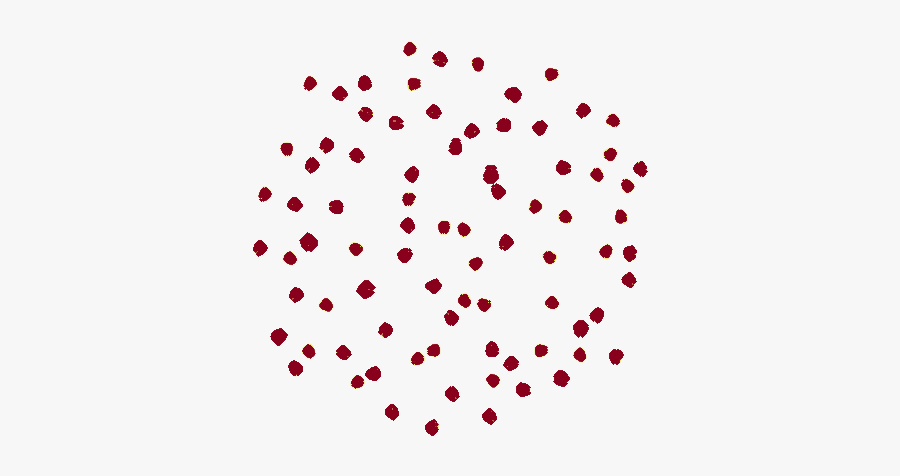 Circle, Transparent Clipart