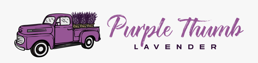 Calligraphy, Transparent Clipart