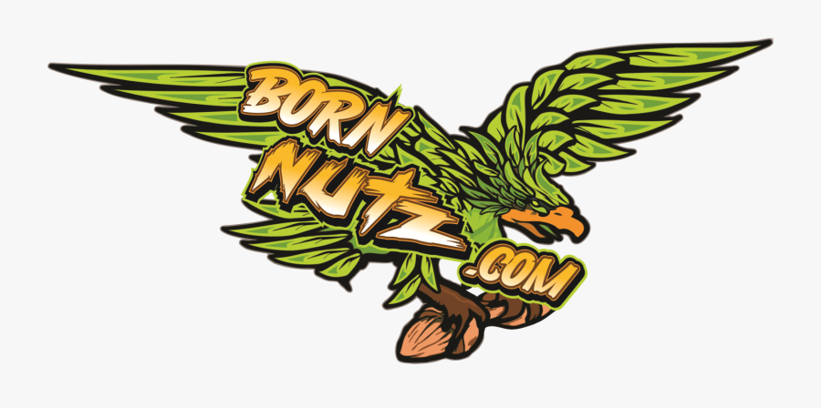 Nut Clipart Raw, Transparent Clipart