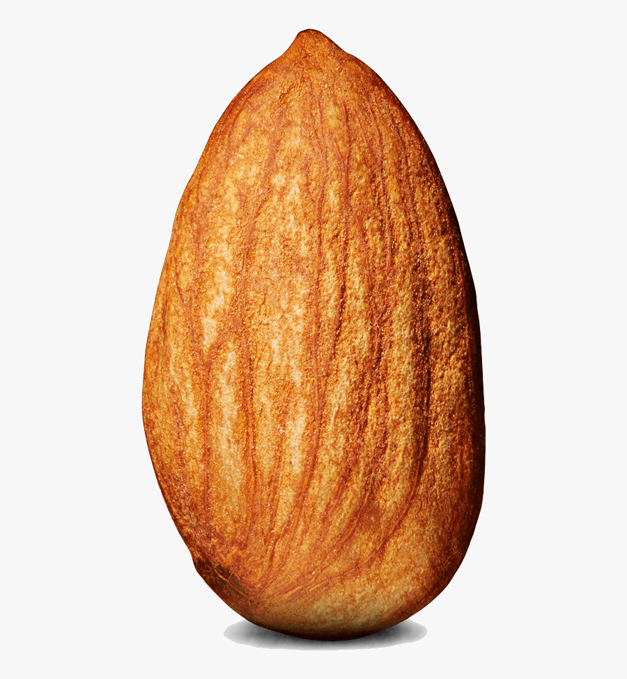 Almond Single - Tit On An Almond, Transparent Clipart