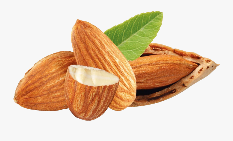 Nuts Almond Dried Fruit - Almond Illustration, Transparent Clipart