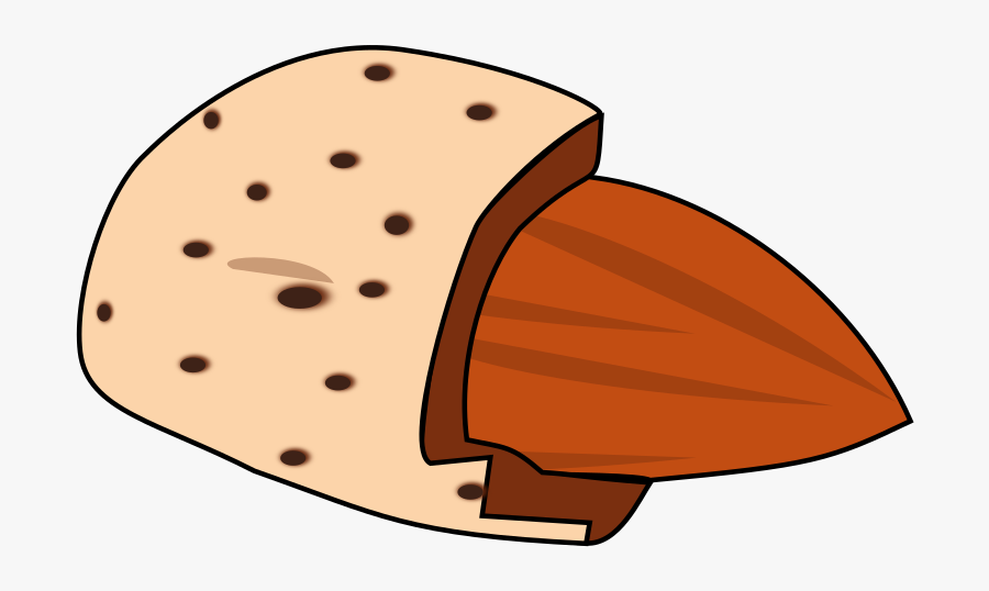 Almond Big Image Png - Illustration, Transparent Clipart