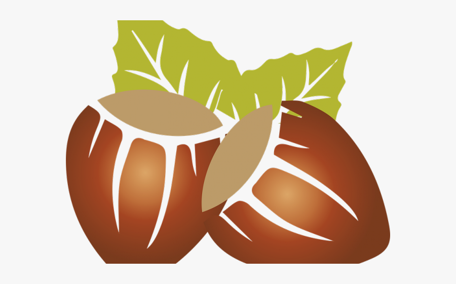 Almond Clipart Dry Fruit - Hazelnut Clipart, Transparent Clipart
