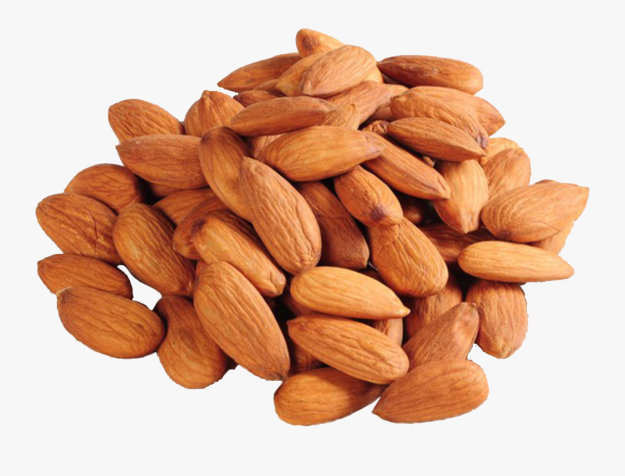 Almond Png Images Free Download - Gurbandi Almond Mamra, Transparent Clipart