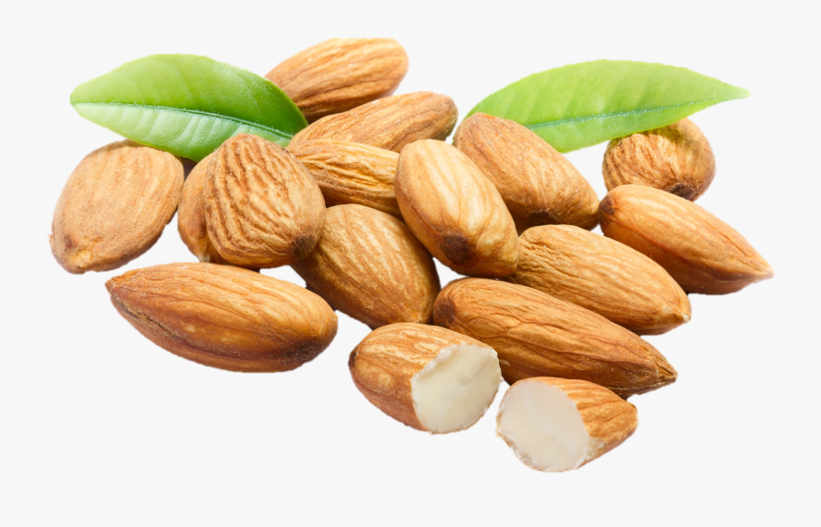 Almond,food,nut,dried Fruit,plant,nuts & Kernel,prunus,cuisine, Transparent Clipart