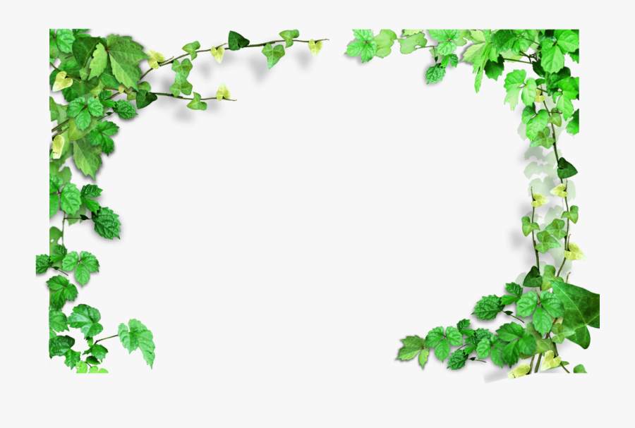 Ivy Clipart Watermelon Vine - Transparent Background Leaf Border, Transparent Clipart