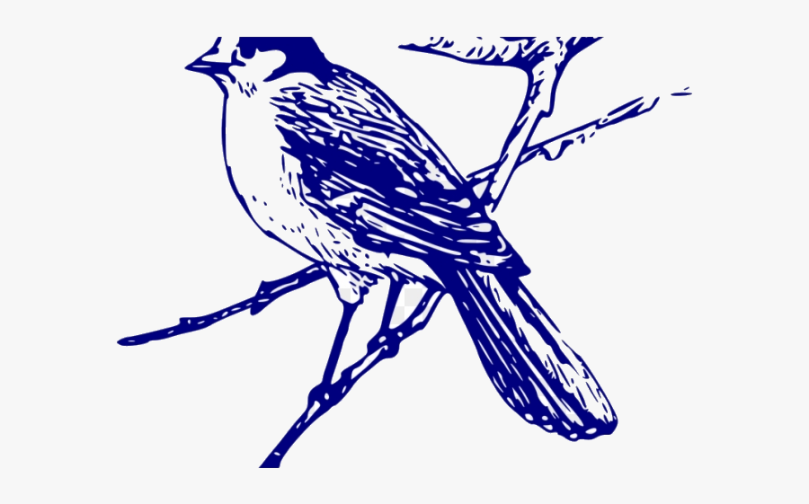 Blue Jay Clipart Vector Free Transparent Png - Transparent Background Bluebird Clipart, Transparent Clipart