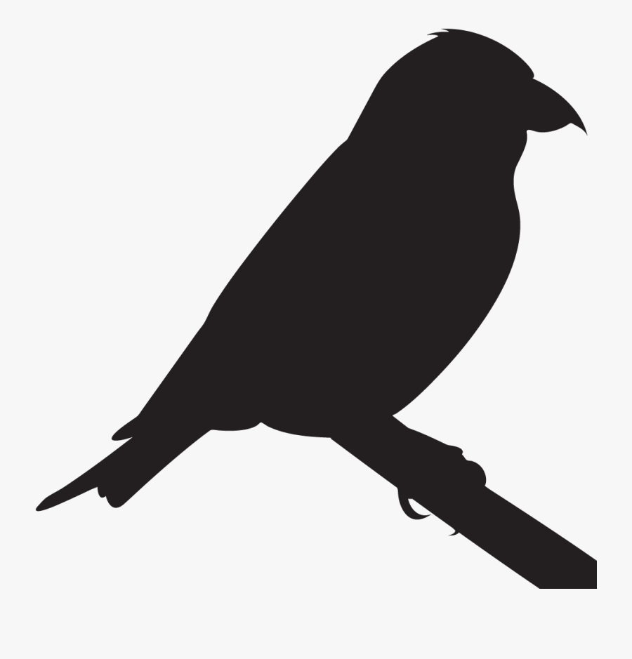 Crossbill Silhouette, Transparent Clipart