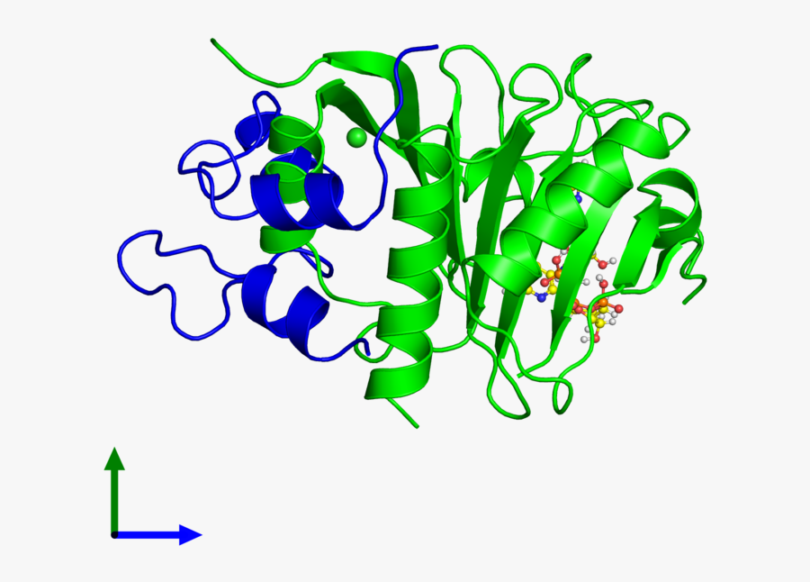 <div Class="caption-body - Graphic Design, Transparent Clipart