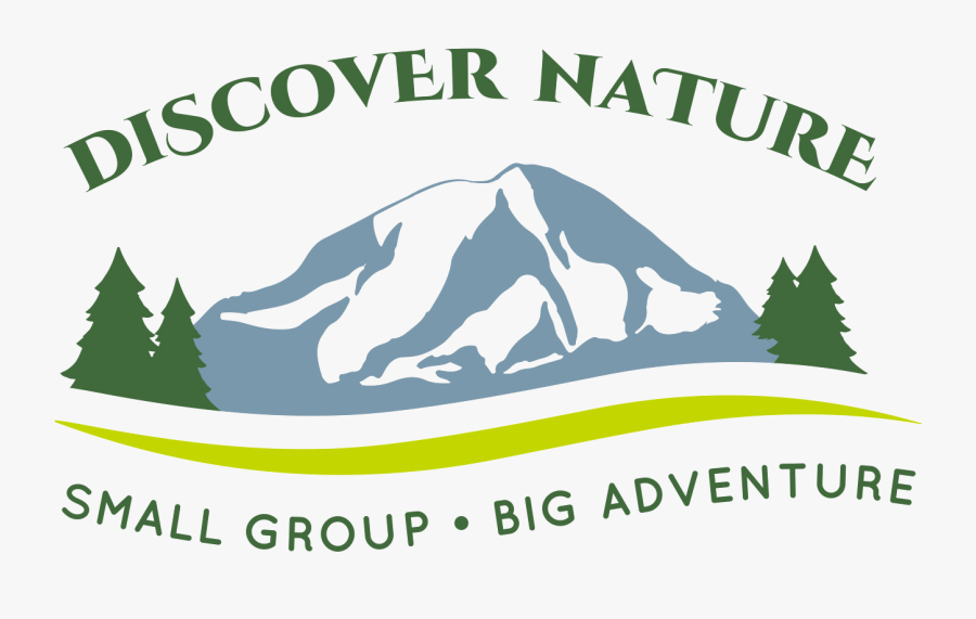 Tour Mt - Rainier - Mt Rainier Clip Art, Transparent Clipart