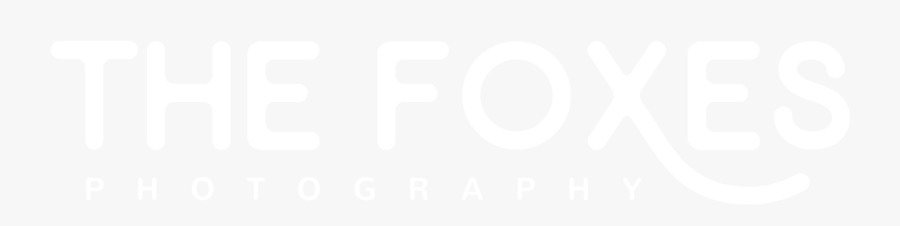 Circle, Transparent Clipart