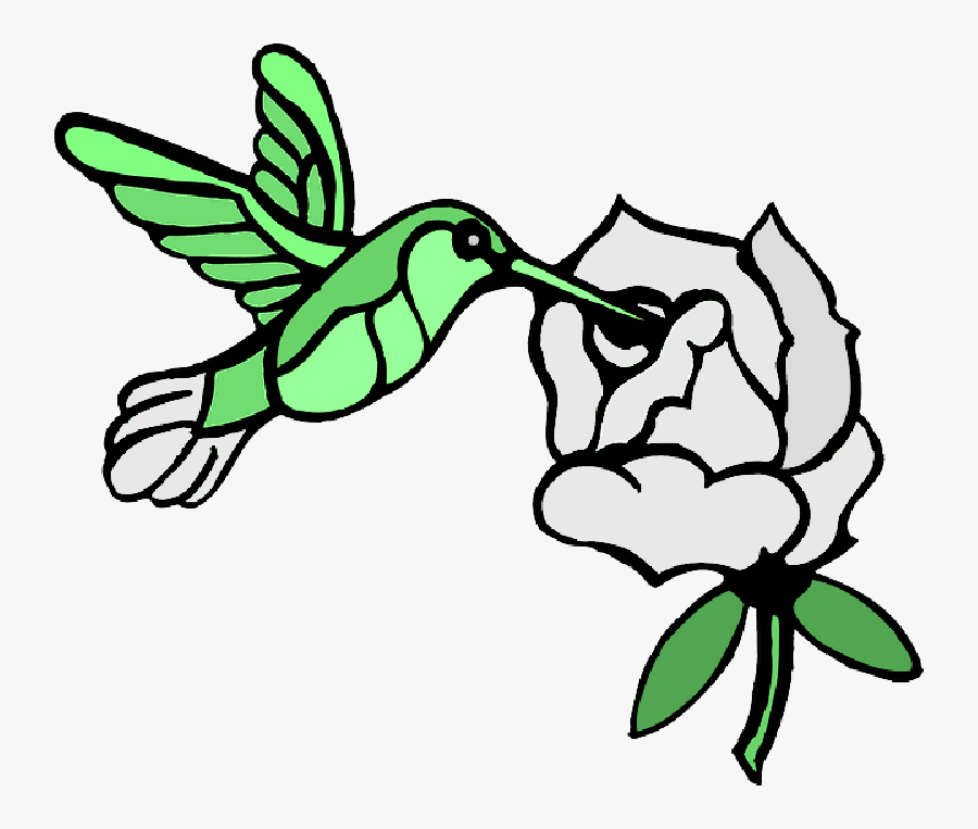 Draw A Hummingbird , Png Download - Draw Hummingbirds And Flower, Transparent Clipart