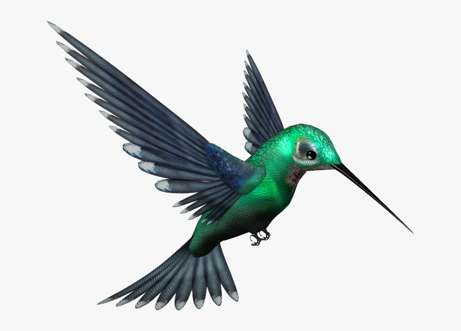 Humming Png, Transparent Clipart