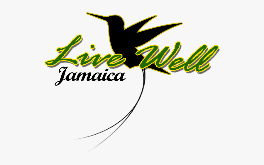 Jamaican Drawing Hummingbird - Terry And June, Transparent Clipart