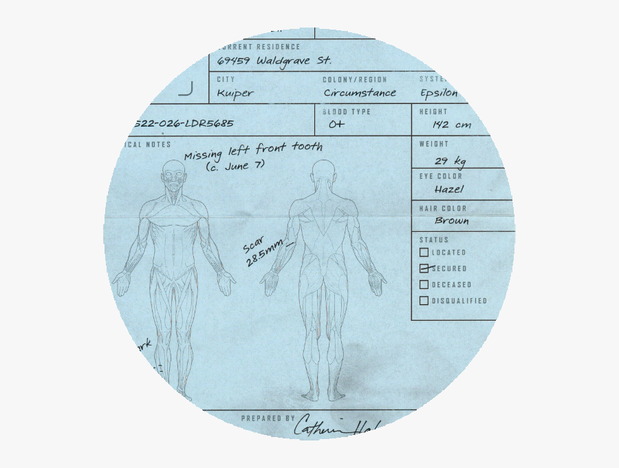Colony Drawing Color - Sketch, Transparent Clipart