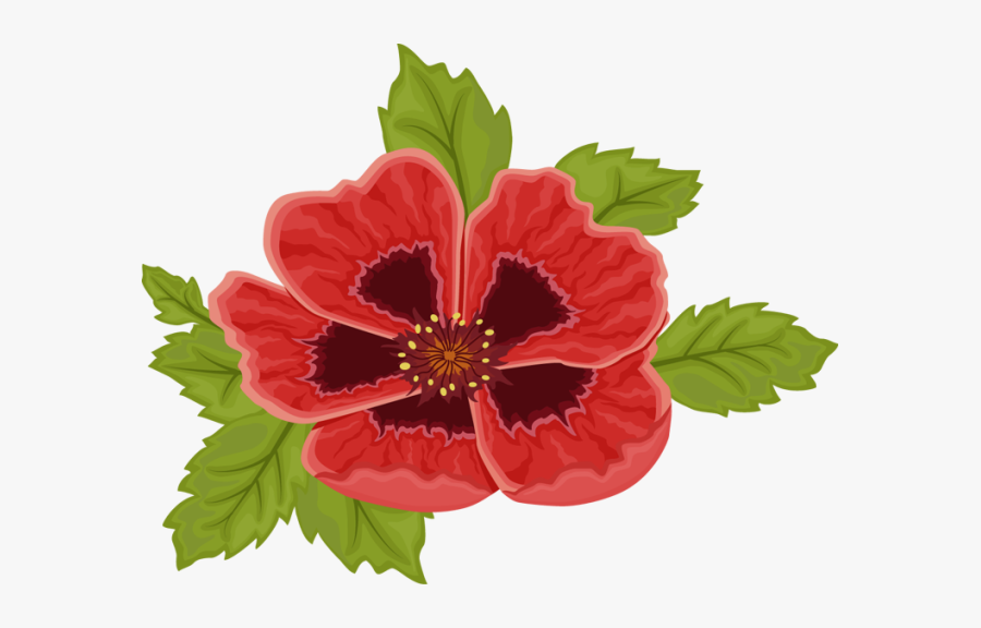 Poppy, Transparent Clipart