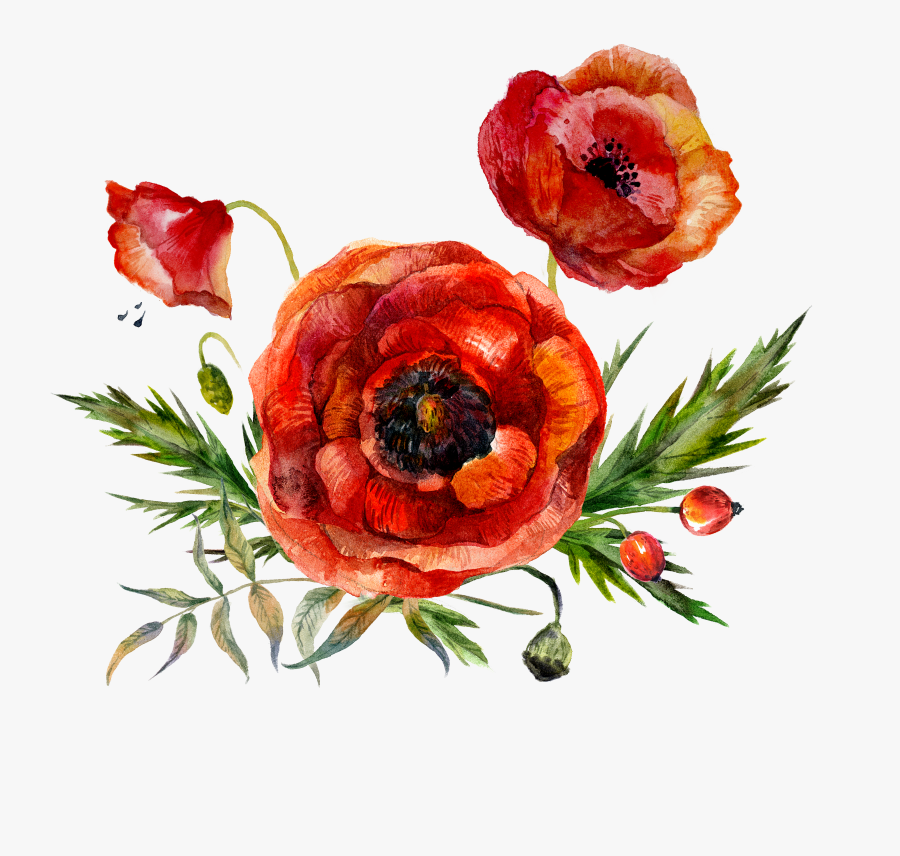 Clip Art Poppy Watercolor, Transparent Clipart