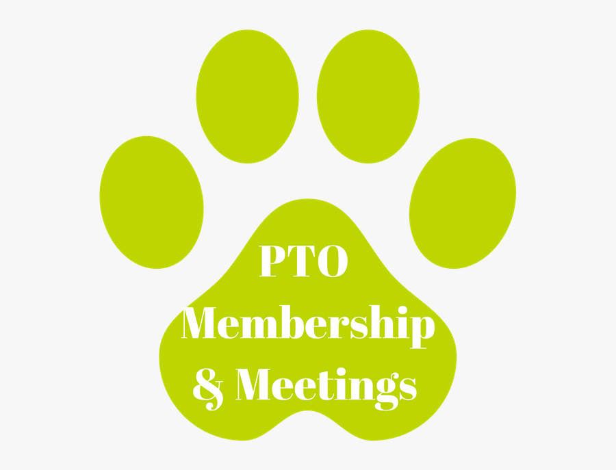 Circle, Transparent Clipart