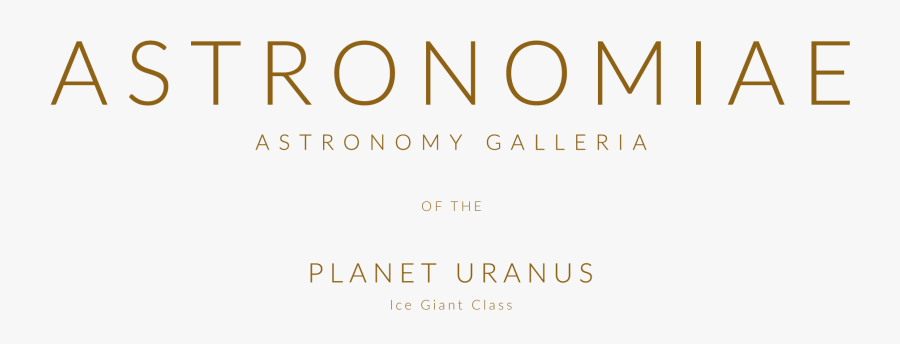 Wood, Transparent Clipart