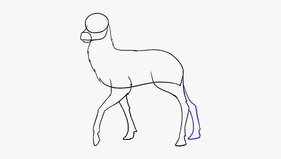 How To Draw Deer - Line Art, Transparent Clipart