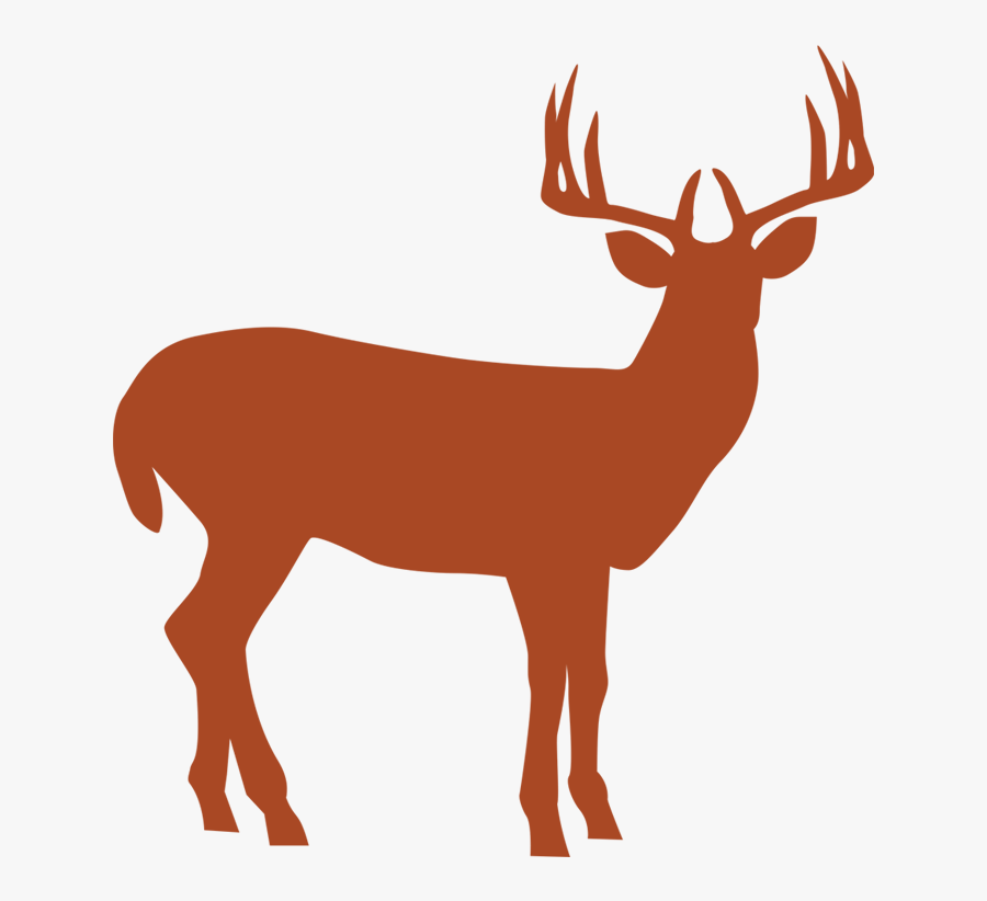 Home North River Outfitting - White Tailed Deer Icon, Transparent Clipart