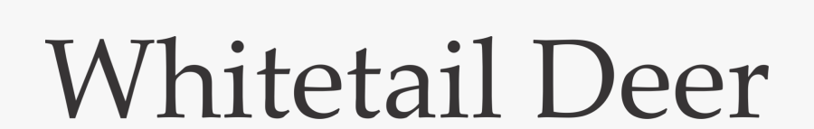 Cross, Transparent Clipart