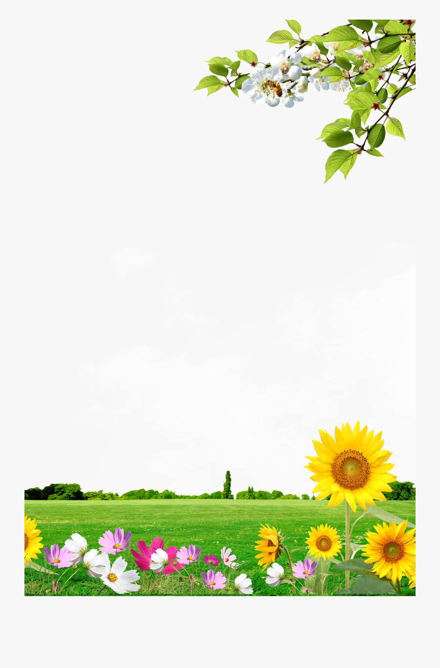 Clip Art Scenery Background - Best Type Of Bluebird Feeder, Transparent Clipart