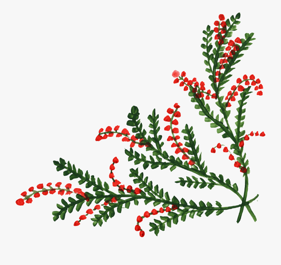 Holly Corner Transparent Png, Transparent Clipart