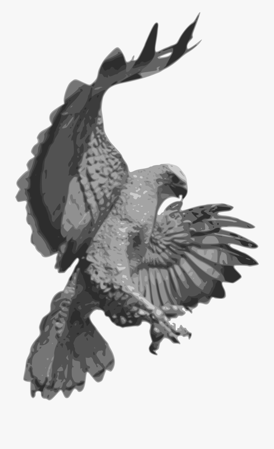 Falcon Clipart Blackhawk - Hawk Png, Transparent Clipart