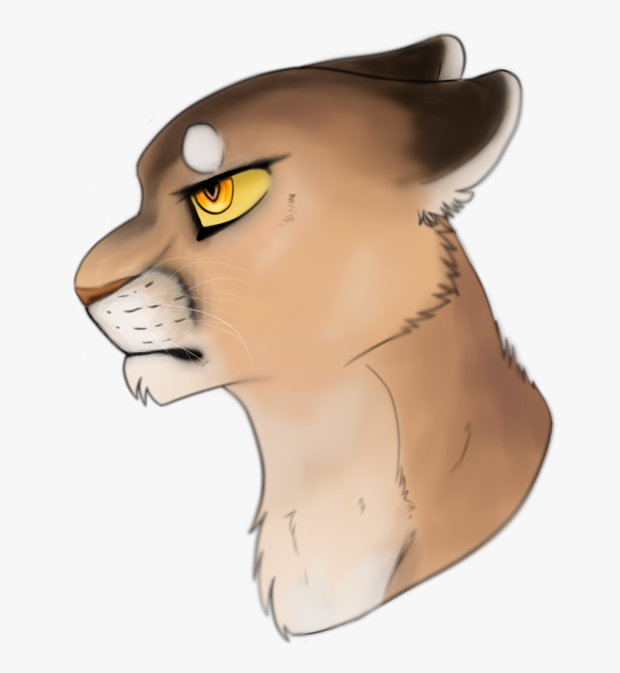 Drawing At Getdrawings Com - Cougar Drawing, Transparent Clipart