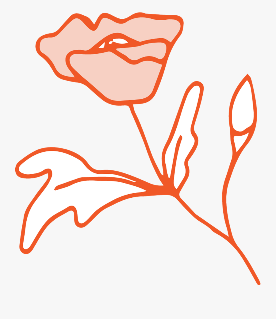 Doodle Flower Floral Garden Border Orange Outline Ftest, Transparent Clipart