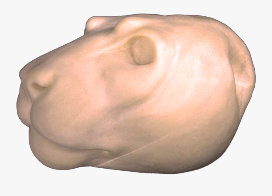 Mountain Lion Change-out Heads, Transparent Clipart