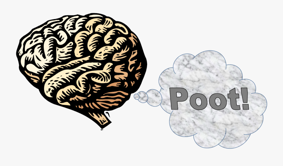 Brochure On Nervous System, Transparent Clipart