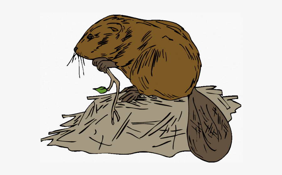 Ski Lodge Clipart Cartoon - Beaver And Dam Clipart, Transparent Clipart