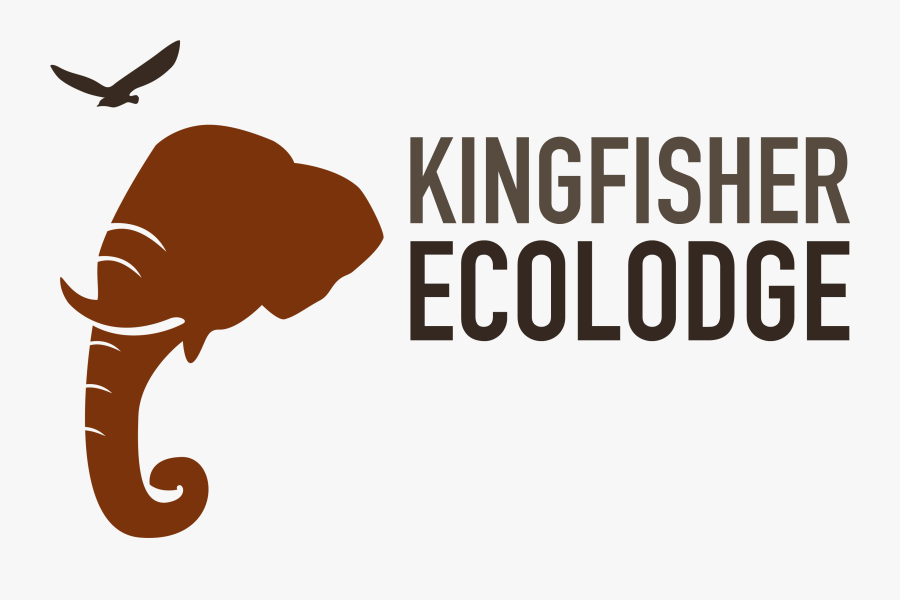 Kingfisher Ecolodge Logo - Illustration, Transparent Clipart
