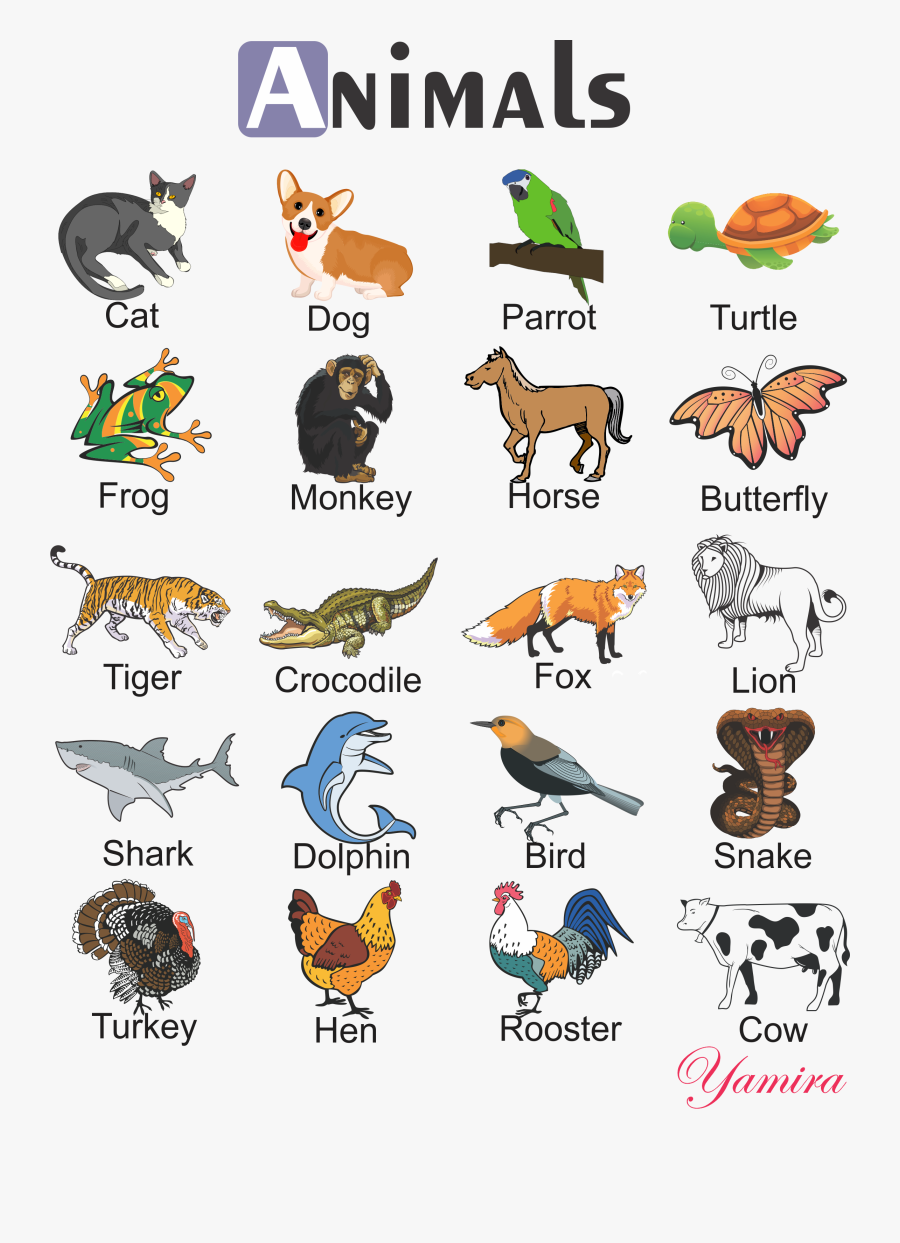 Animals, Transparent Clipart
