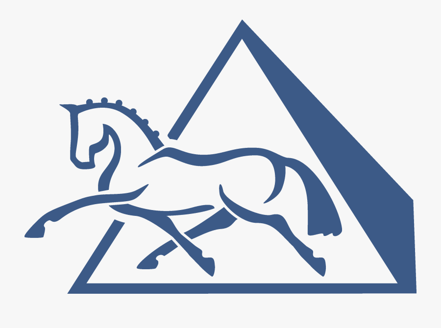 Horse Industry Equestrian Colt Clip Art - Horse, Transparent Clipart