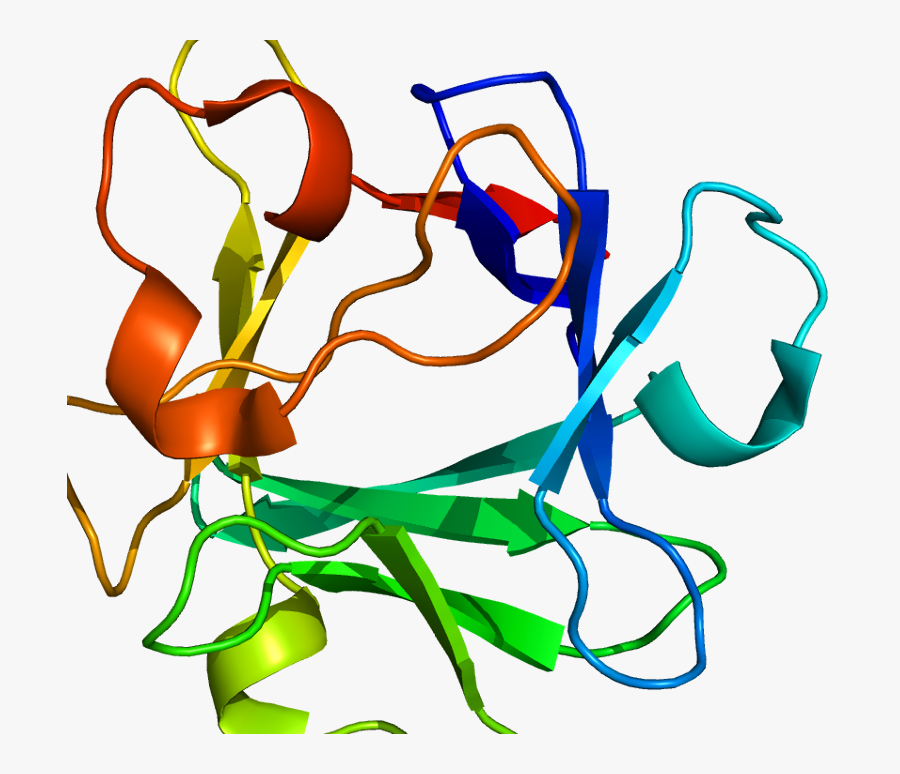 Technology News, 19 Jul 2014 - Fibroblast Growth Factor Structure, Transparent Clipart