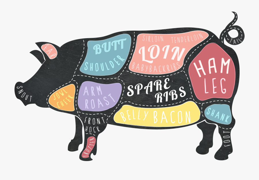 Hoa Tiet Ao Lop, Transparent Clipart