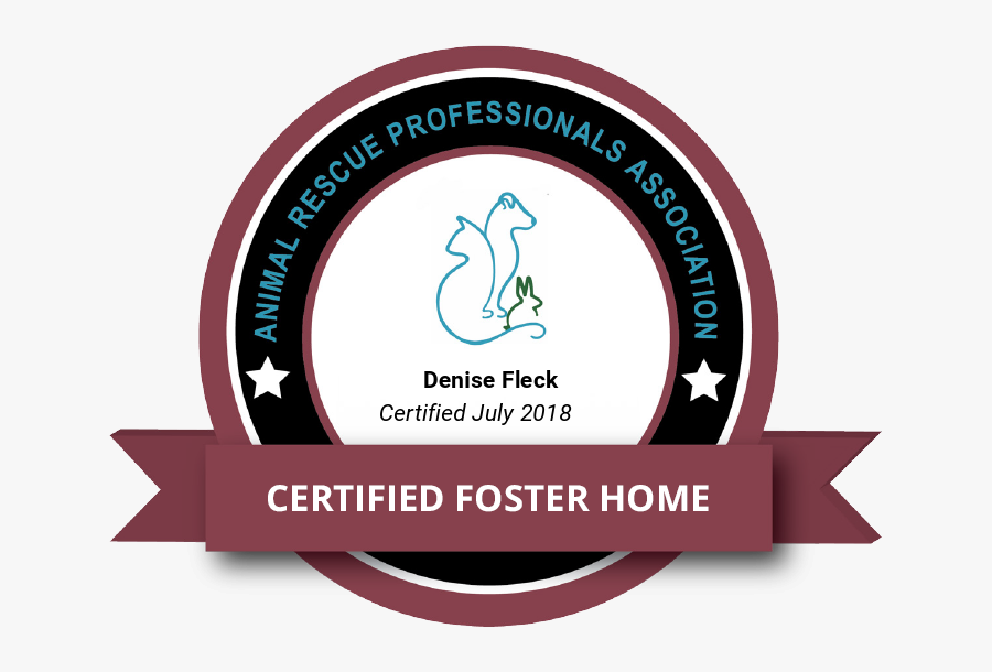 Arpa Certified Foster Home - Zenith Child School Namsai, Transparent Clipart