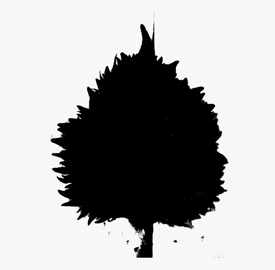 Beefsteak Plant, Transparent Clipart