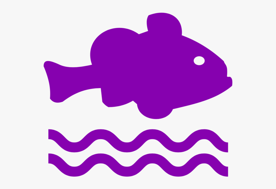 Fish - Caiu Na Rede É Peixe Plaquinha, Transparent Clipart