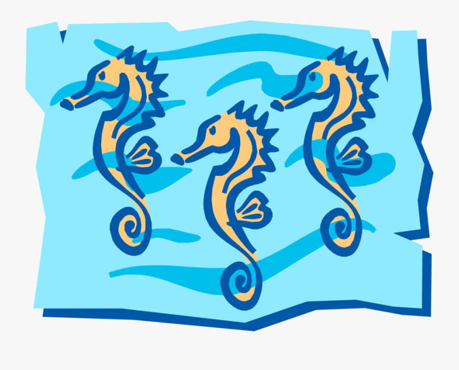 Vector Illustration Of Three Hippocampus Genus Seahorses - Illustration, Transparent Clipart