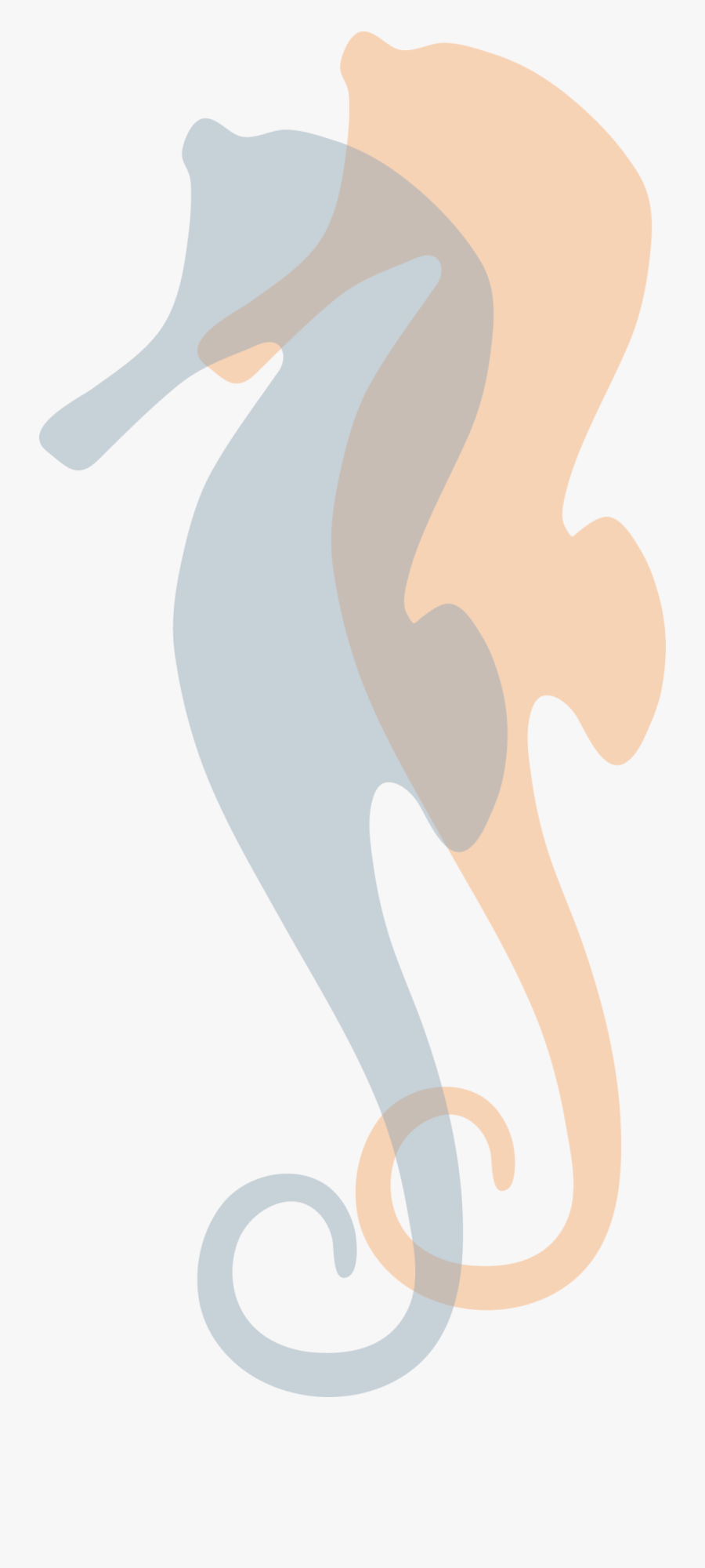 Icon Seahorses Highres - Illustration, Transparent Clipart