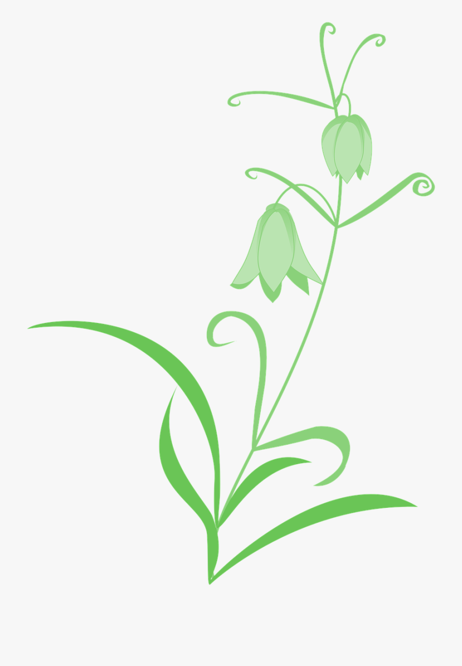 Pictures, Free Photos, - Portable Network Graphics, Transparent Clipart