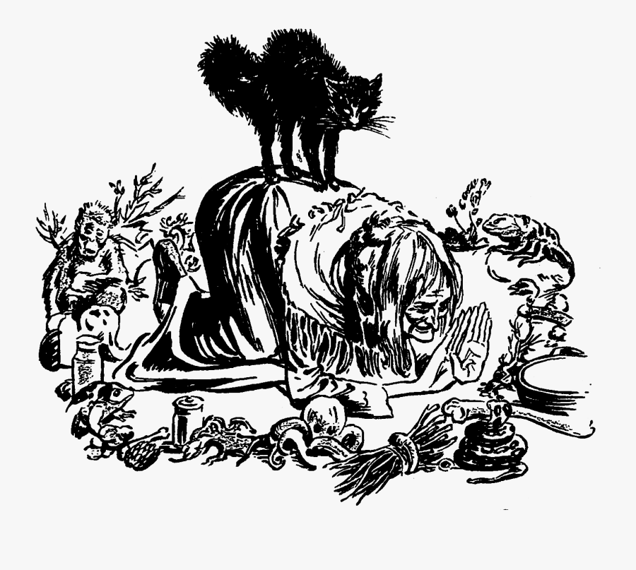 Witch Familiars, Transparent Clipart