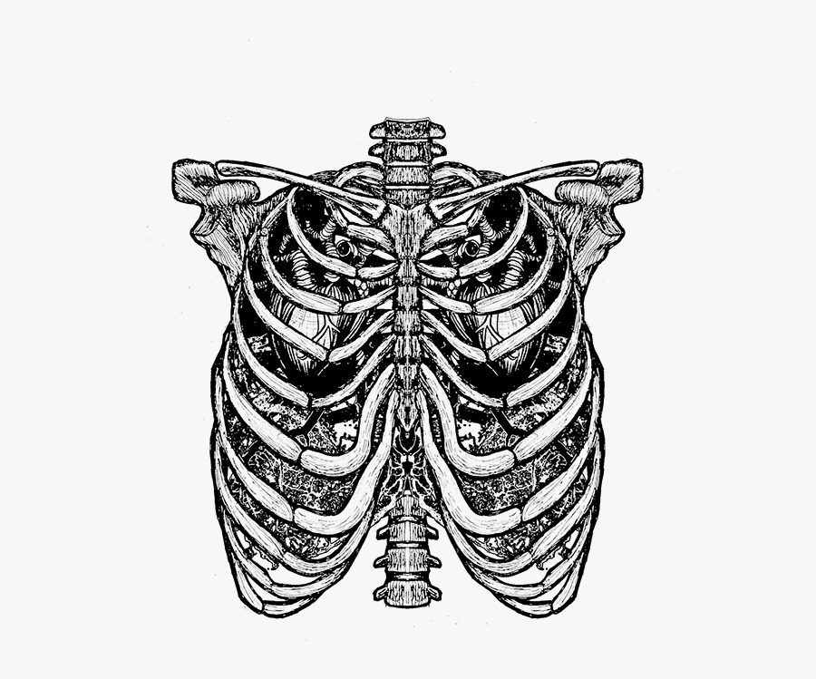 Illustration, Transparent Clipart